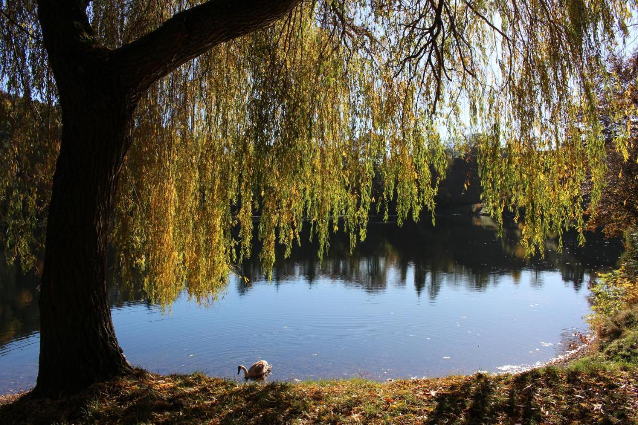 Ferienwohnungen Eifelstuben Mit Charme - Am See, Nahe Burg 乌尔门 外观 照片