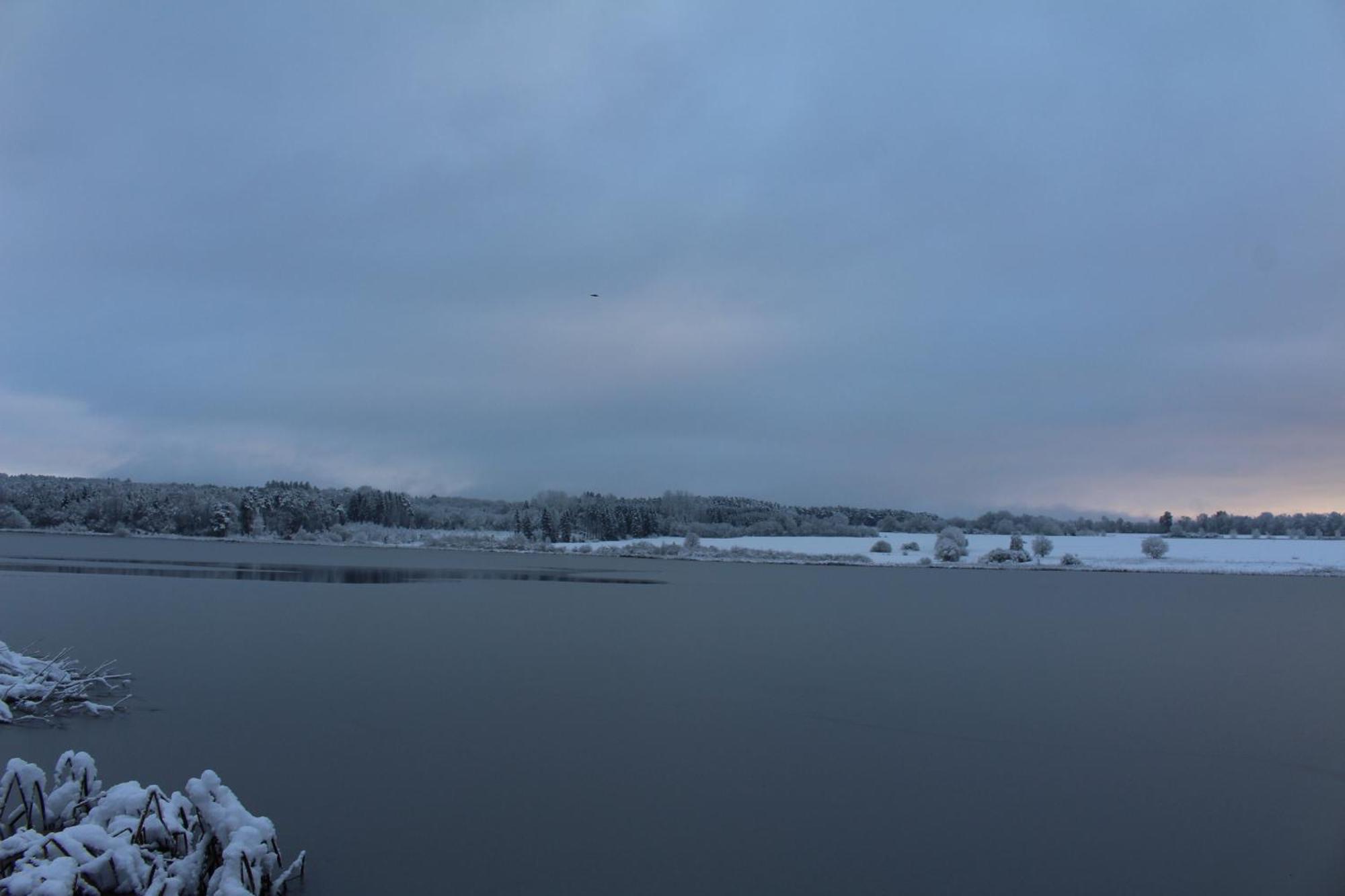 Ferienwohnungen Eifelstuben Mit Charme - Am See, Nahe Burg 乌尔门 外观 照片