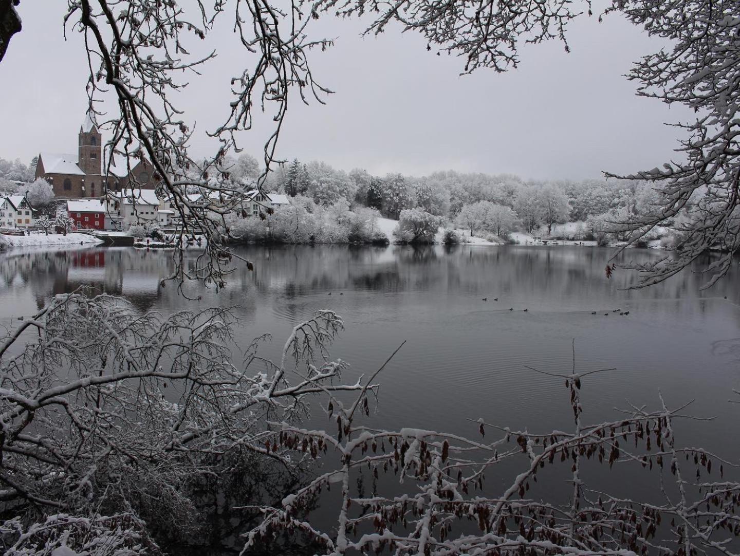 Ferienwohnungen Eifelstuben Mit Charme - Am See, Nahe Burg 乌尔门 外观 照片