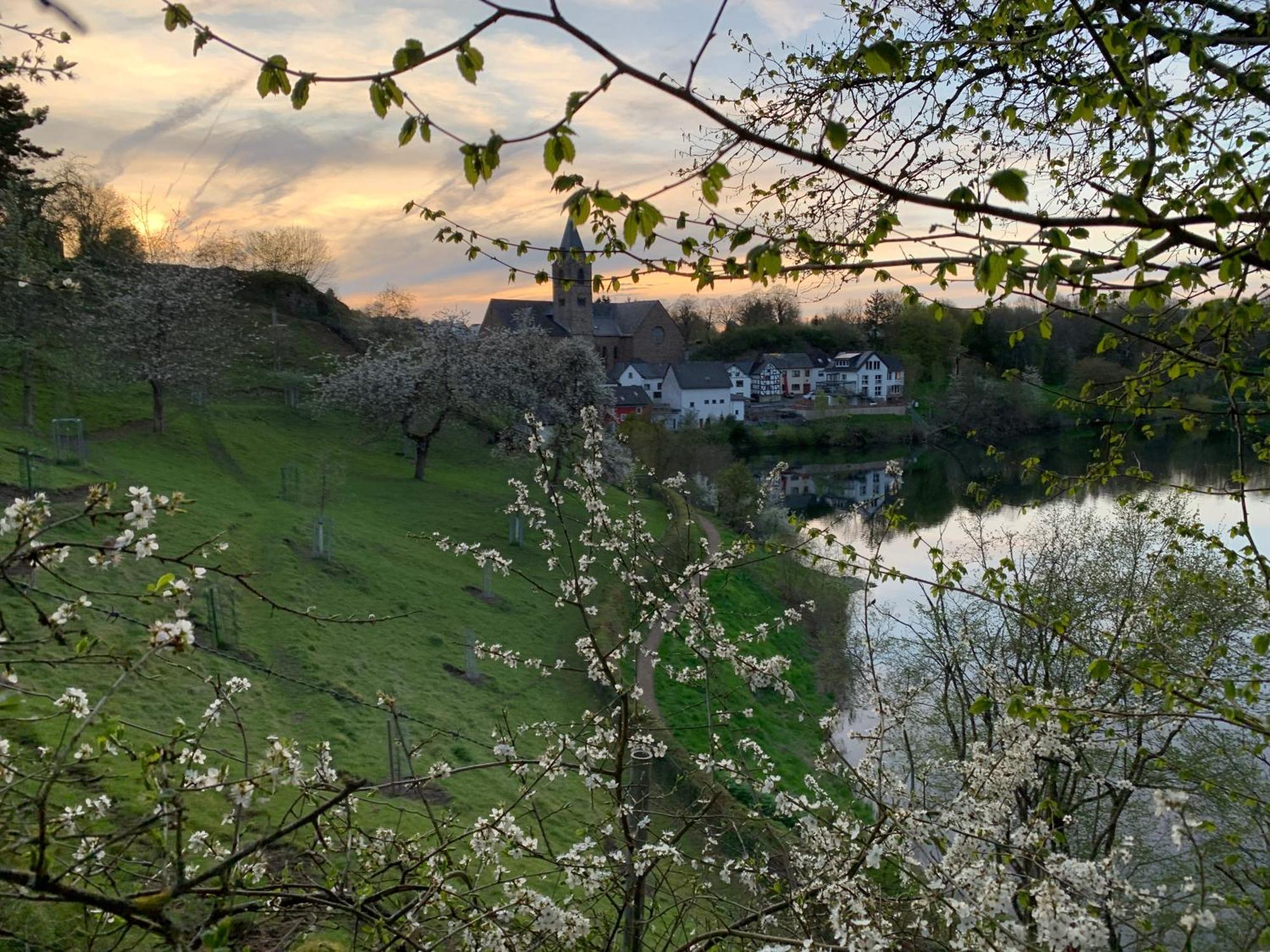 Ferienwohnungen Eifelstuben Mit Charme - Am See, Nahe Burg 乌尔门 外观 照片